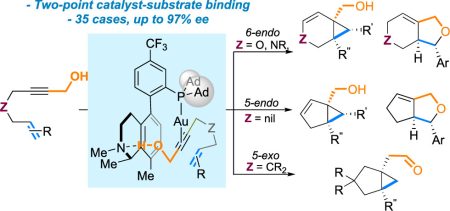 images_large_ja5c08821_0007